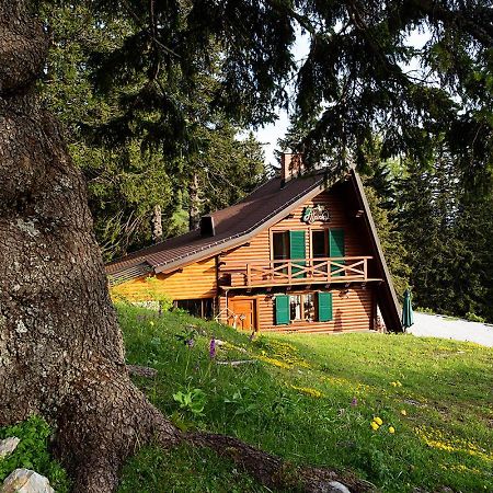 Chalet Alpinka Cerklje na Gorenjskem Exteriér fotografie