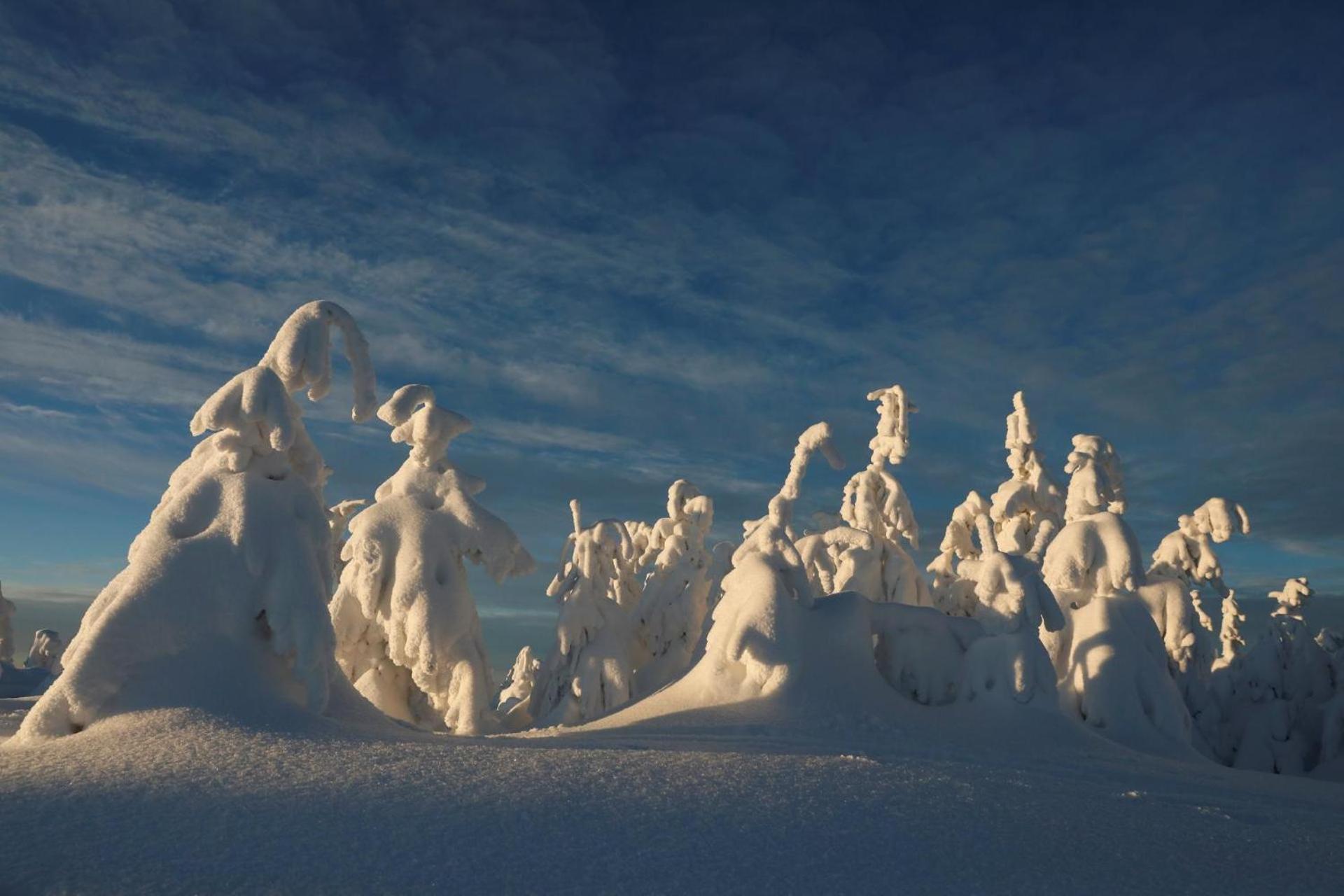 Chalet Alpinka Cerklje na Gorenjskem Exteriér fotografie