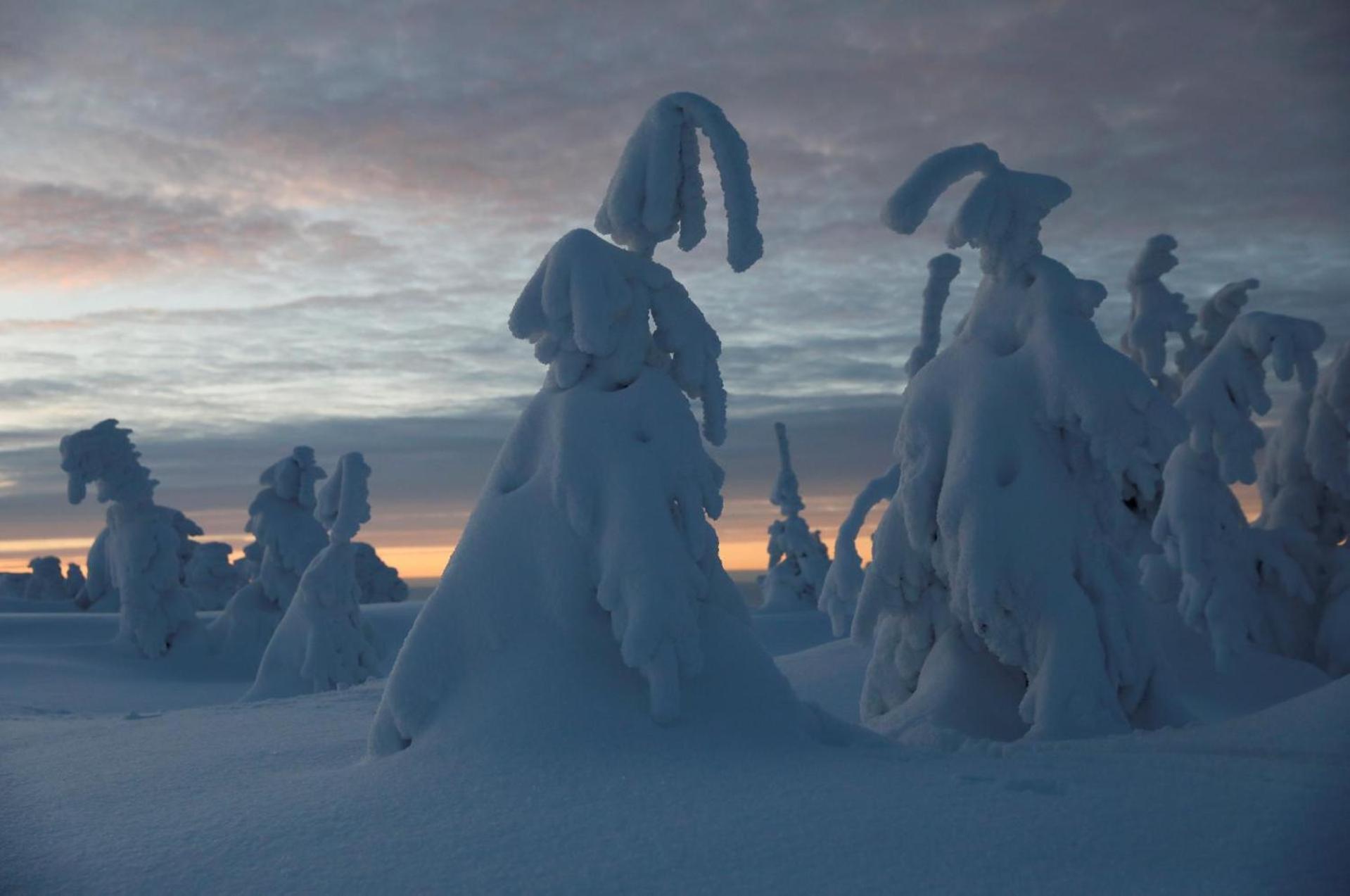 Chalet Alpinka Cerklje na Gorenjskem Exteriér fotografie