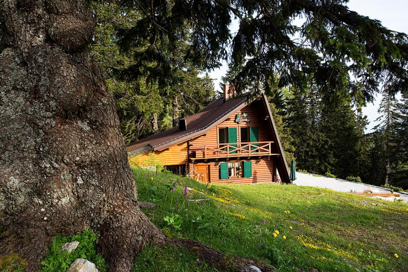 Chalet Alpinka Cerklje na Gorenjskem Exteriér fotografie